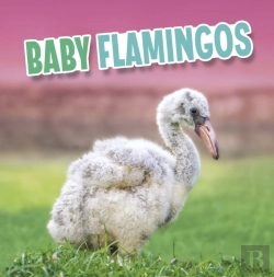Bertrand.pt - Baby Flamingos