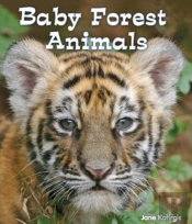 Baby Forest Animals