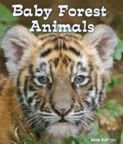 Bertrand.pt - Baby Forest Animals