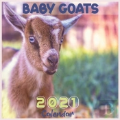 Baby Goats 2021 Calendar