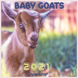 Bertrand.pt - Baby Goats 2021 Calendar