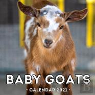 Baby Goats Calendar 2021