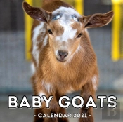 Baby Goats Calendar 2021