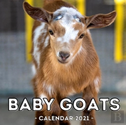 Bertrand.pt - Baby Goats Calendar 2021