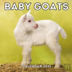 Bertrand.pt - Baby Goats Calendar 2021