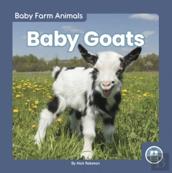 Bertrand.pt - Baby Goats