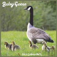 Baby Goose Calendar 2022