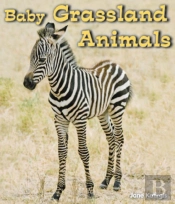 Baby Grassland Animals