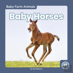 Bertrand.pt - Baby Horses