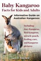 Baby Kangaroo Facts For Kids And Adults