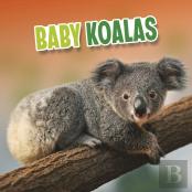 Baby Koalas