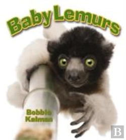 Bertrand.pt - Baby Lemurs