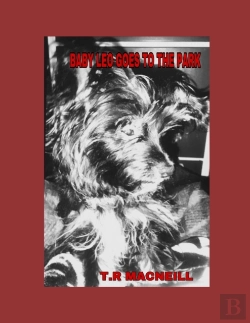 Bertrand.pt - Baby Leo Goes To The Park