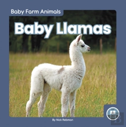 Bertrand.pt - Baby Llamas