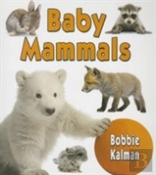 Baby Mammals