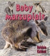 Baby Marsupials