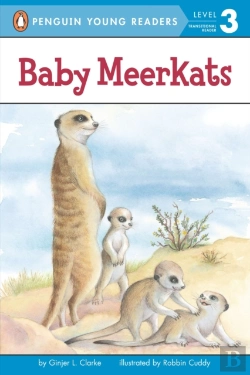 Bertrand.pt - Baby Meerkats