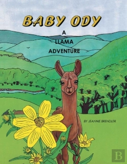 Bertrand.pt - Baby Ody