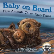 Baby On Board