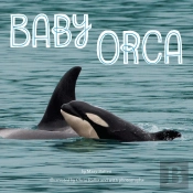Baby Orca