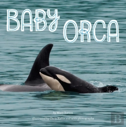 Bertrand.pt - Baby Orca