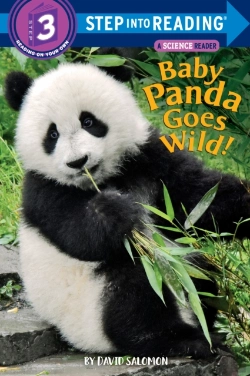Bertrand.pt - Baby Panda Goes Wild!