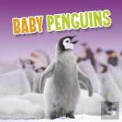 Baby Penguins