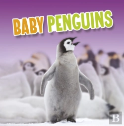 Bertrand.pt - Baby Penguins