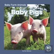 Baby Pigs
