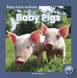 Bertrand.pt - Baby Pigs