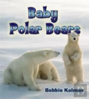 Baby Polar Bears