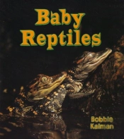 Baby Reptiles