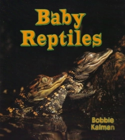 Bertrand.pt - Baby Reptiles