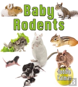 Bertrand.pt - Baby Rodents