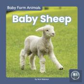 Baby Sheep