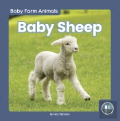 Baby Sheep