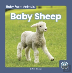 Bertrand.pt - Baby Sheep