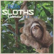 Baby Sloths Calendar 2021