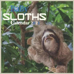 Bertrand.pt - Baby Sloths Calendar 2021