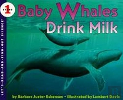 Bertrand.pt - Baby Whales Drink Milk