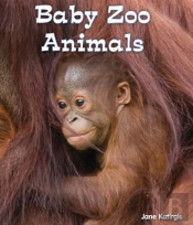 Baby Zoo Animals