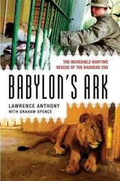 Babylon'S Ark