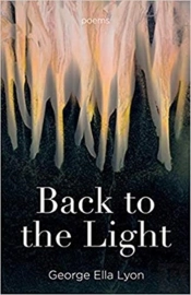 Back To The Light