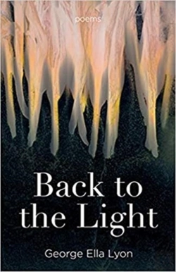 Bertrand.pt - Back To The Light