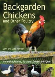 Backgarden Chickens And Other Poultry