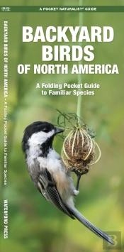 Backyard Birds Of North America