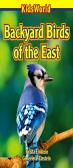 Backyard Birds Of The East