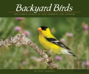 Backyard Birds
