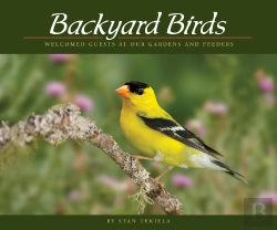 Bertrand.pt - Backyard Birds
