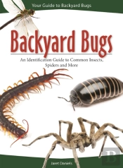 Backyard Bugs